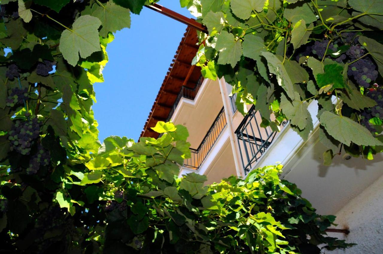 Boutique Hotel Parnassia Arachova Zewnętrze zdjęcie